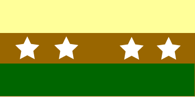 Bandera del Cantón