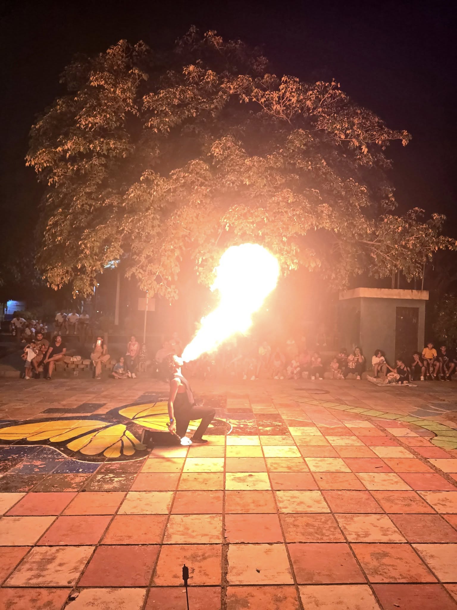 Noche de Fuego y Arte en Bagaces